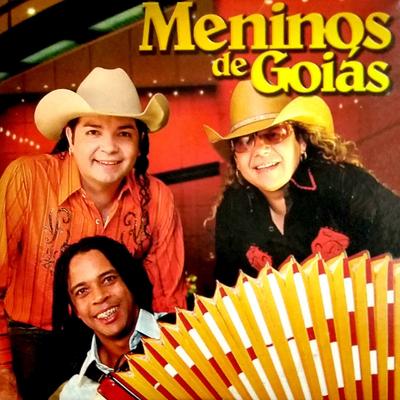 Por Que Não Vê (Ao Vivo) By Meninos de Goias's cover