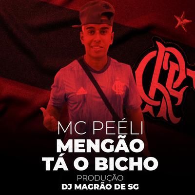 Mengão Tá o Bicho By MC Peéli's cover