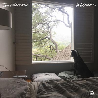 Work from Home By Tim Heidecker's cover