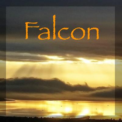 Falcon By Without Worry's cover