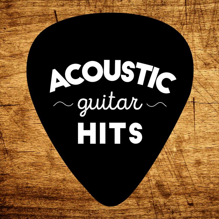 Acoustic Guitar Hits's avatar image