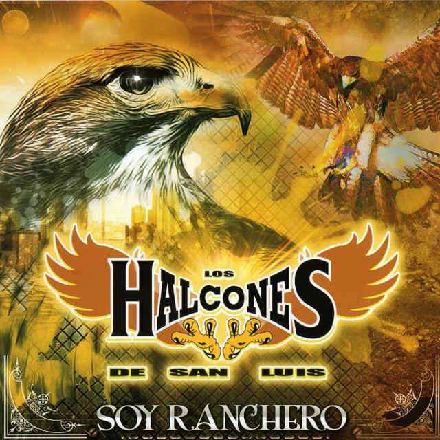 Los Halcones De San Luis's avatar image