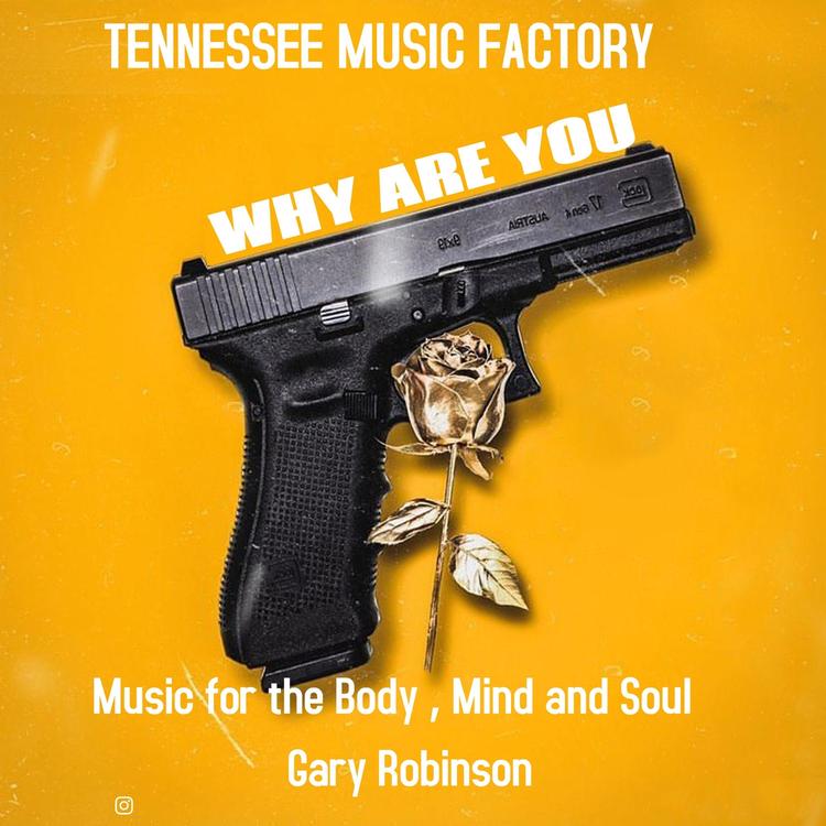 Tennessee Music Factory's avatar image