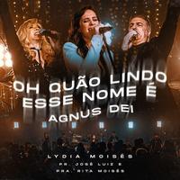 Pr. José Luiz Moisés's avatar cover