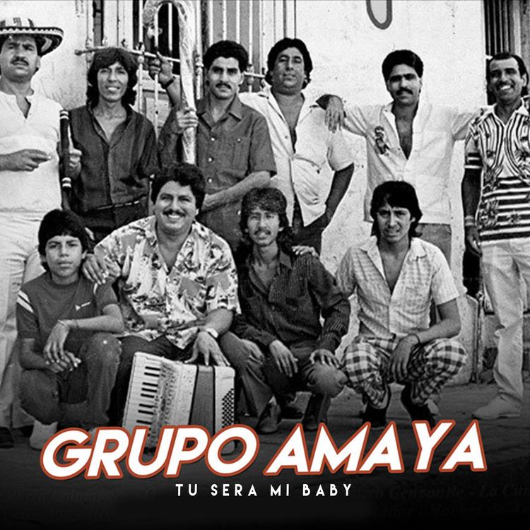 Grupo Amaya's avatar image