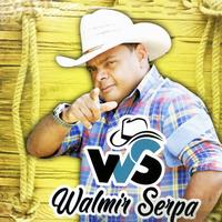 Walmir Serpa's avatar cover