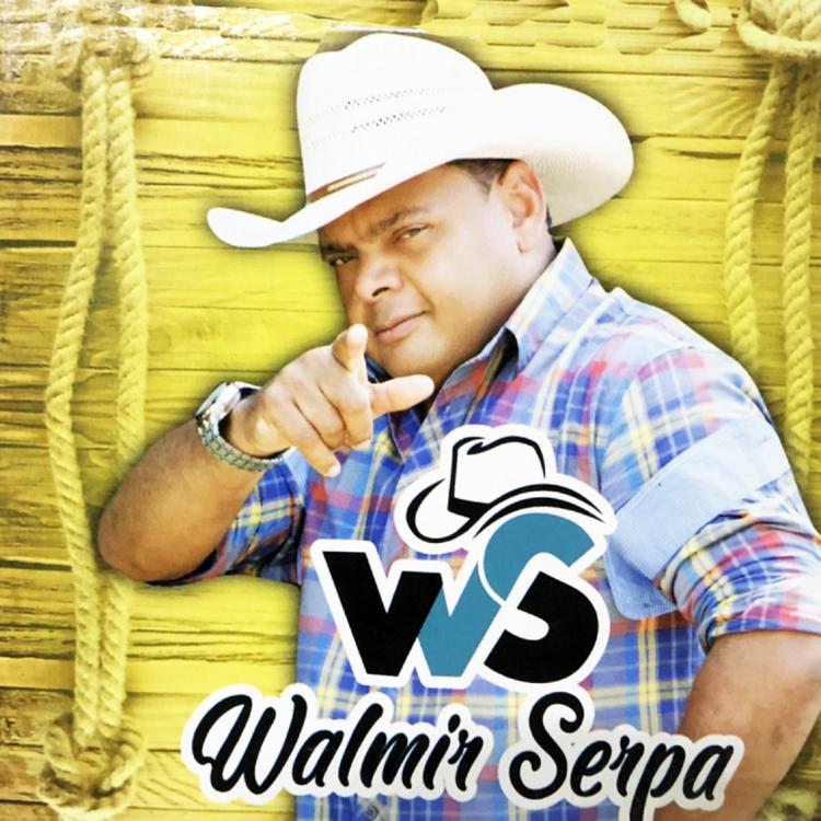 Walmir Serpa's avatar image