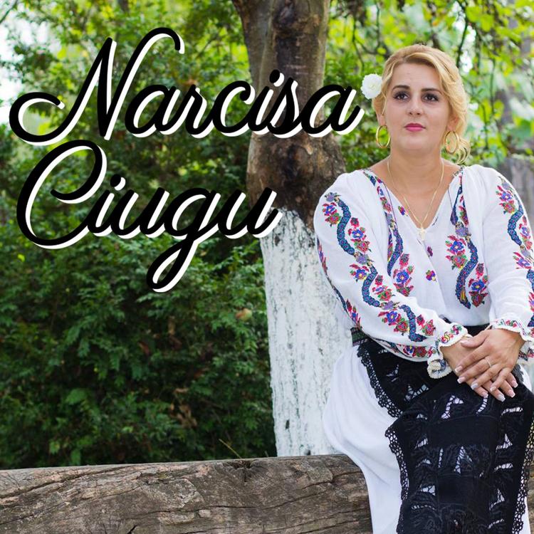 Narcisa Ciugu's avatar image