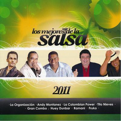 Los Mejores de la Salsa del 2011's cover