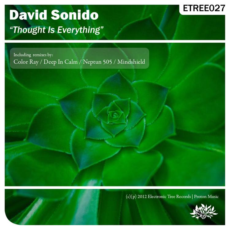 David Sonido's avatar image