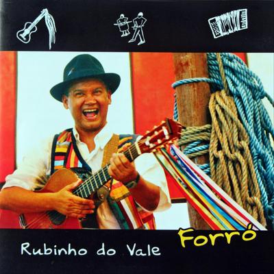 Vou Te Escrever By Rubinho do Vale's cover