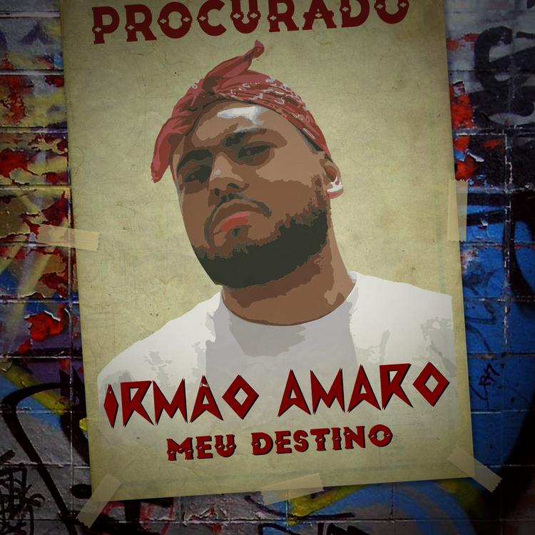 Irmão Amaro's avatar image