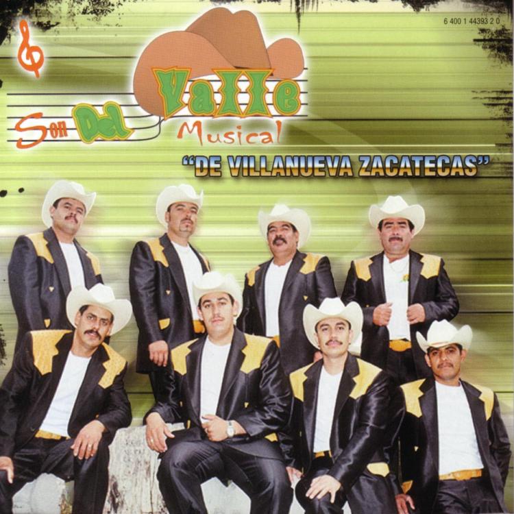 Son Del Valle's avatar image