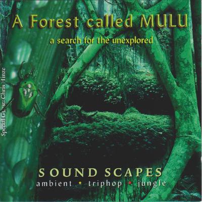 A Forest Called Mulu's cover