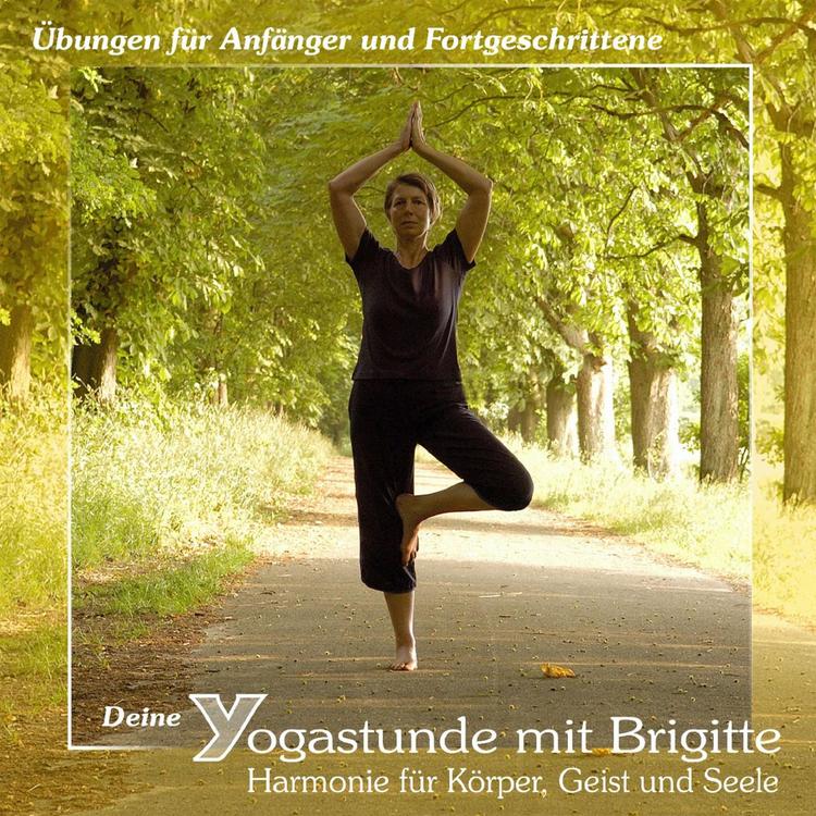 Brigitte Schöler's avatar image