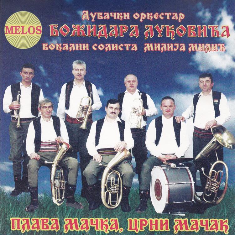 Duvacki orkestar Bozidara Lukovica's avatar image