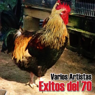 Exitos Del 70's cover