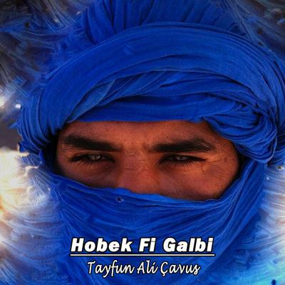 Tayfun Ali Çavuş's cover