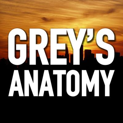 Grey's Anatomy By Merrick Lowell's cover