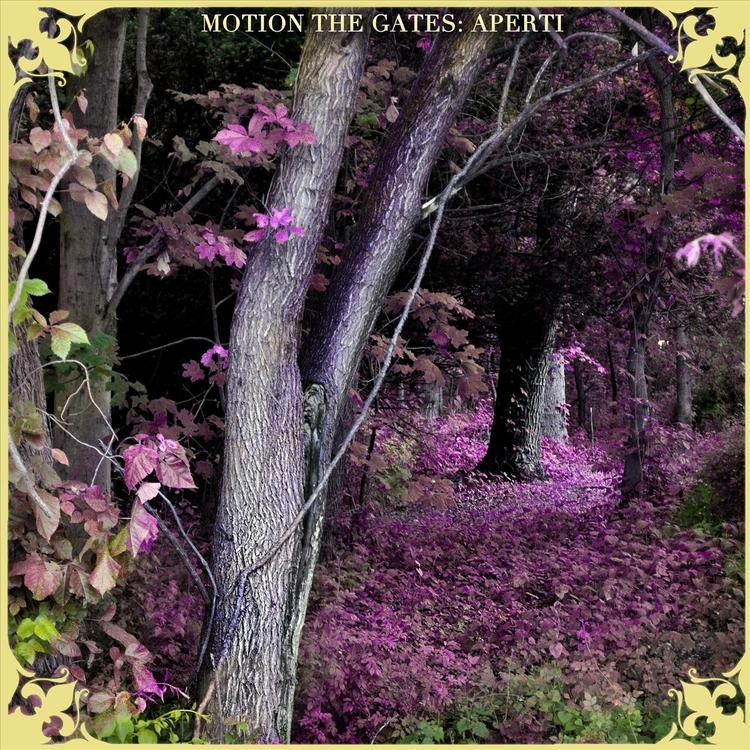 Motion the Gates's avatar image