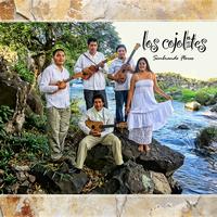 Los Cojolites's avatar cover