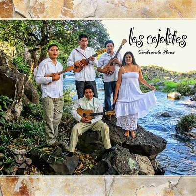Sembrando Flores By Los Cojolites's cover