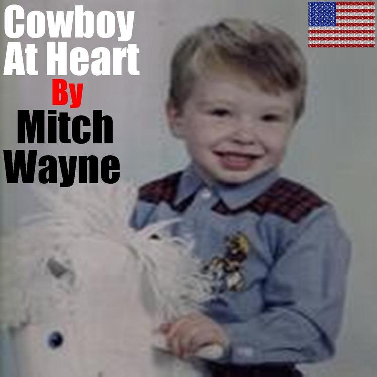 Mitch Wayne's avatar image