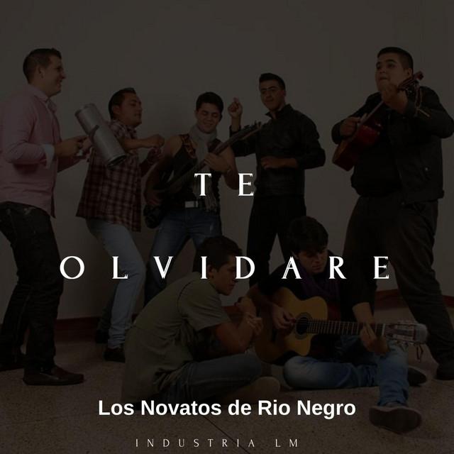 Los Novatos de Rio Negro's avatar image