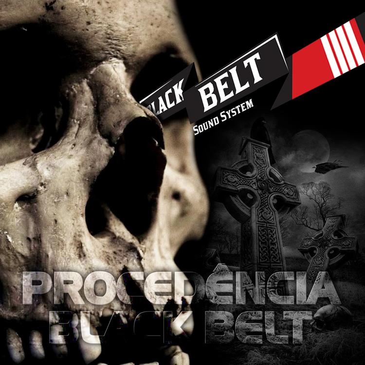 Black Belt Sound System's avatar image