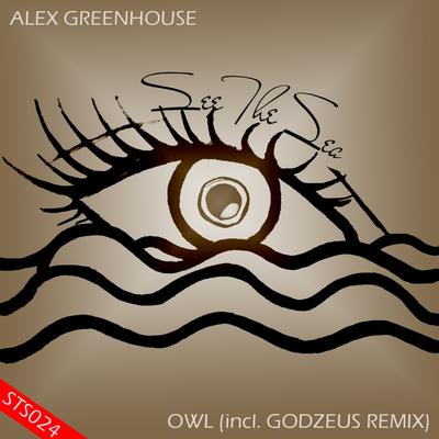 Owl (GodZeus Remix)'s cover