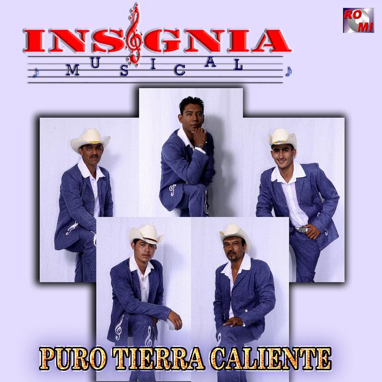 Insignia Musical's avatar image