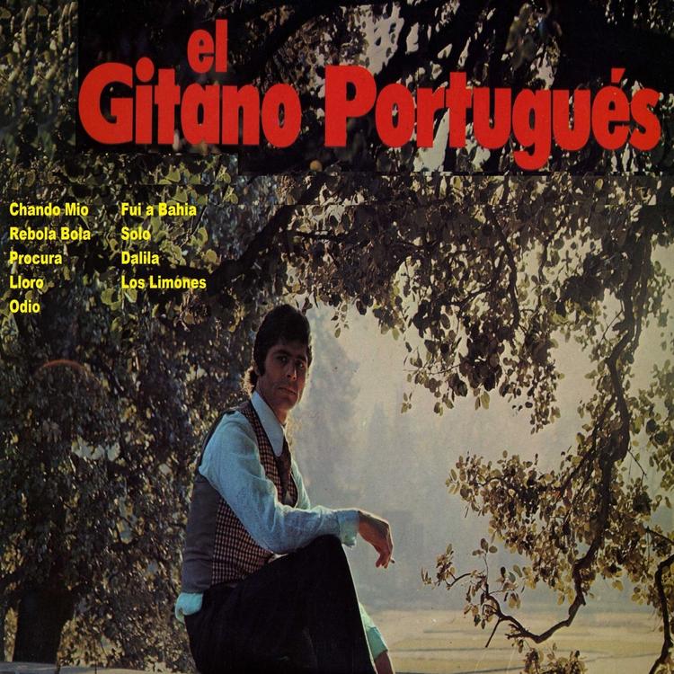 El Gitano Portugués's avatar image