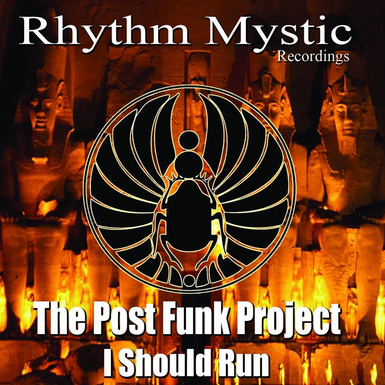 The Post Funk Project's avatar image