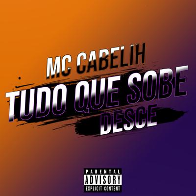Tudo Que Sobe Desce By MC Cabelih's cover