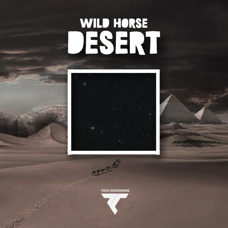 Wild Horse's avatar image