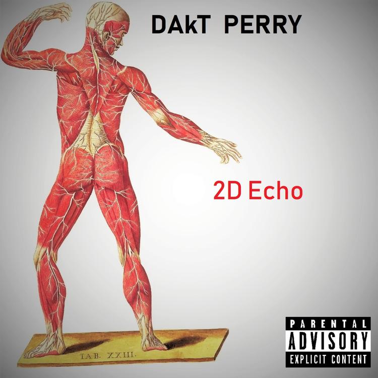 Dakt Perry's avatar image