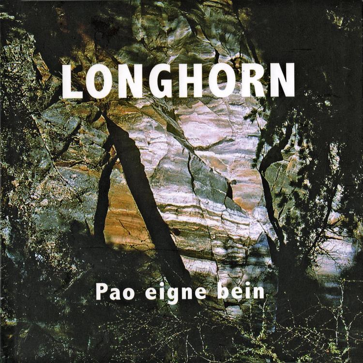 Longhorn's avatar image