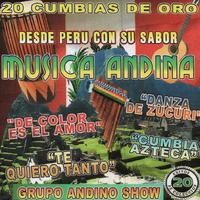 Grupo Andino Show's avatar cover