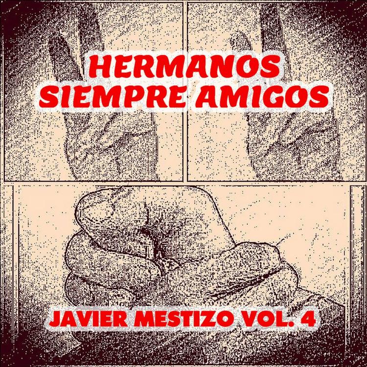 Javier Mestizo's avatar image