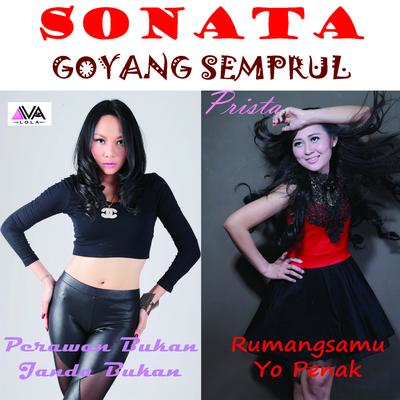 Sonata Goyang Semprul's cover