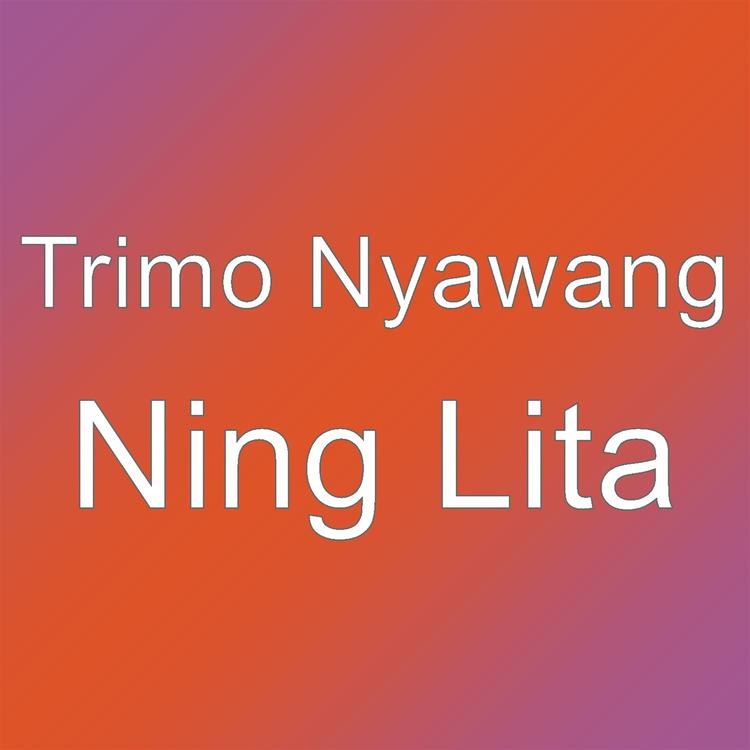Trimo Nyawang's avatar image