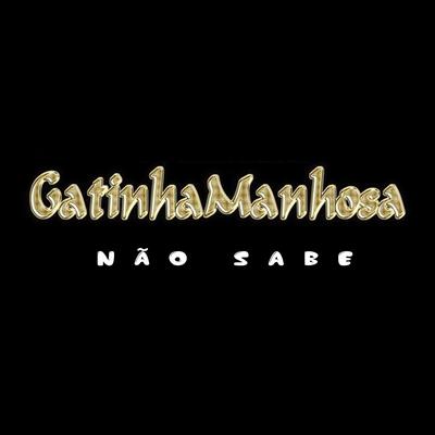 Não Sabe By Gatinha Manhosa's cover