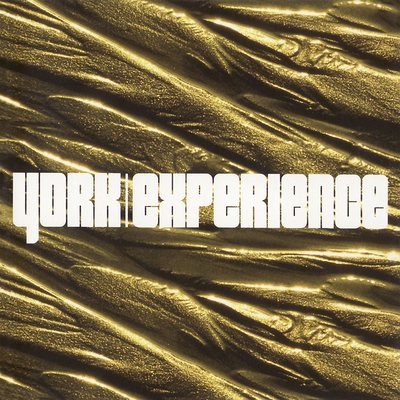 Experience's cover