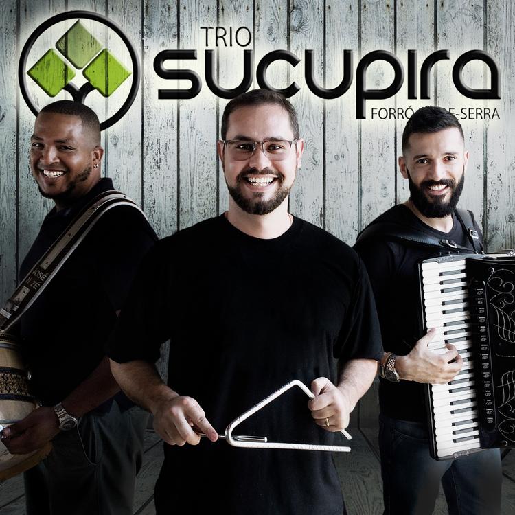 Trio Sucupira's avatar image