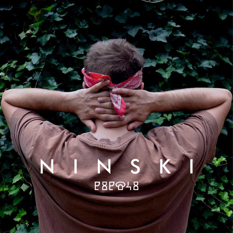 Ninski's avatar image