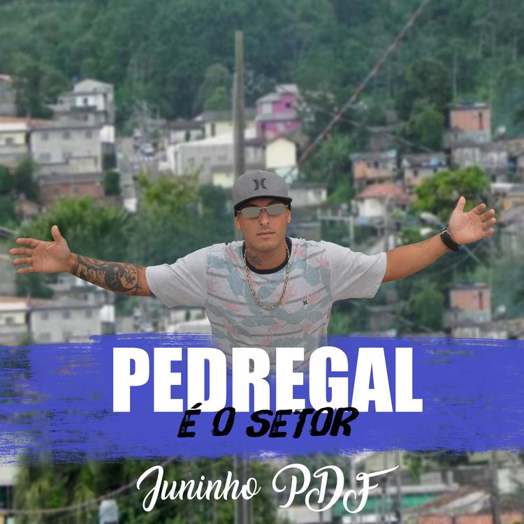 Juninho PDF's avatar image