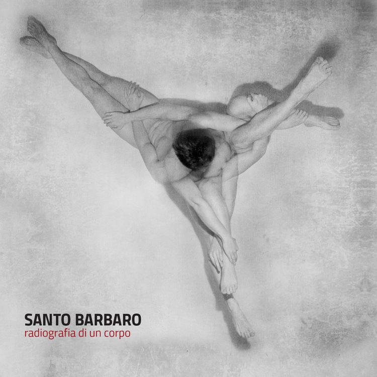 Santo Barbaro's avatar image