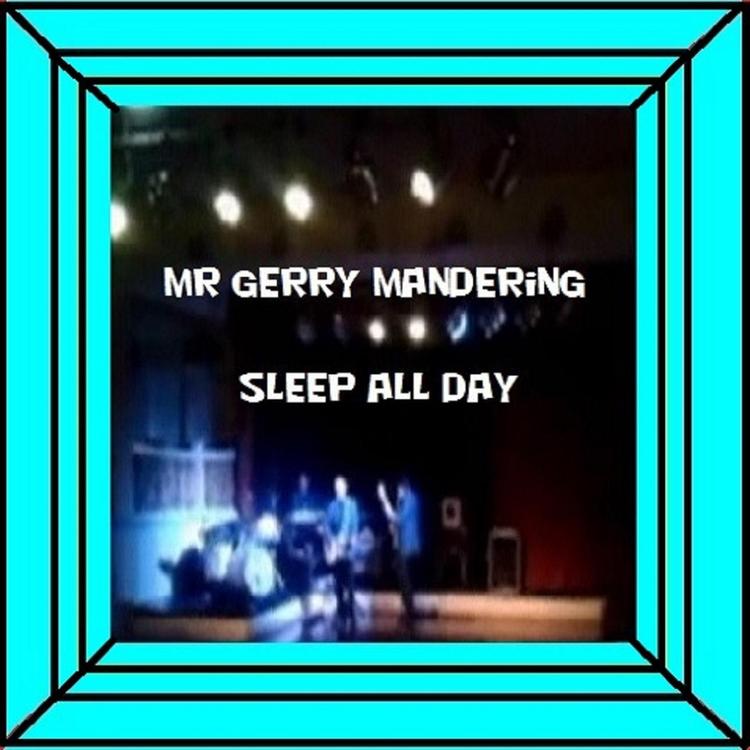 Mr Gerry Mandering's avatar image