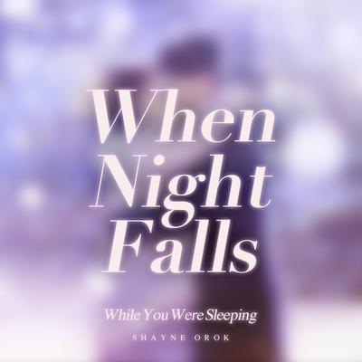 When Night Falls (While You Were Sleeping) By Shayne Orok's cover