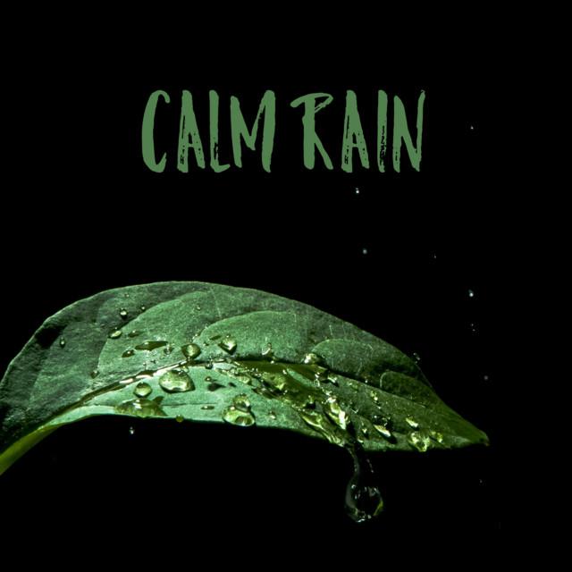 Daily Calm's avatar image